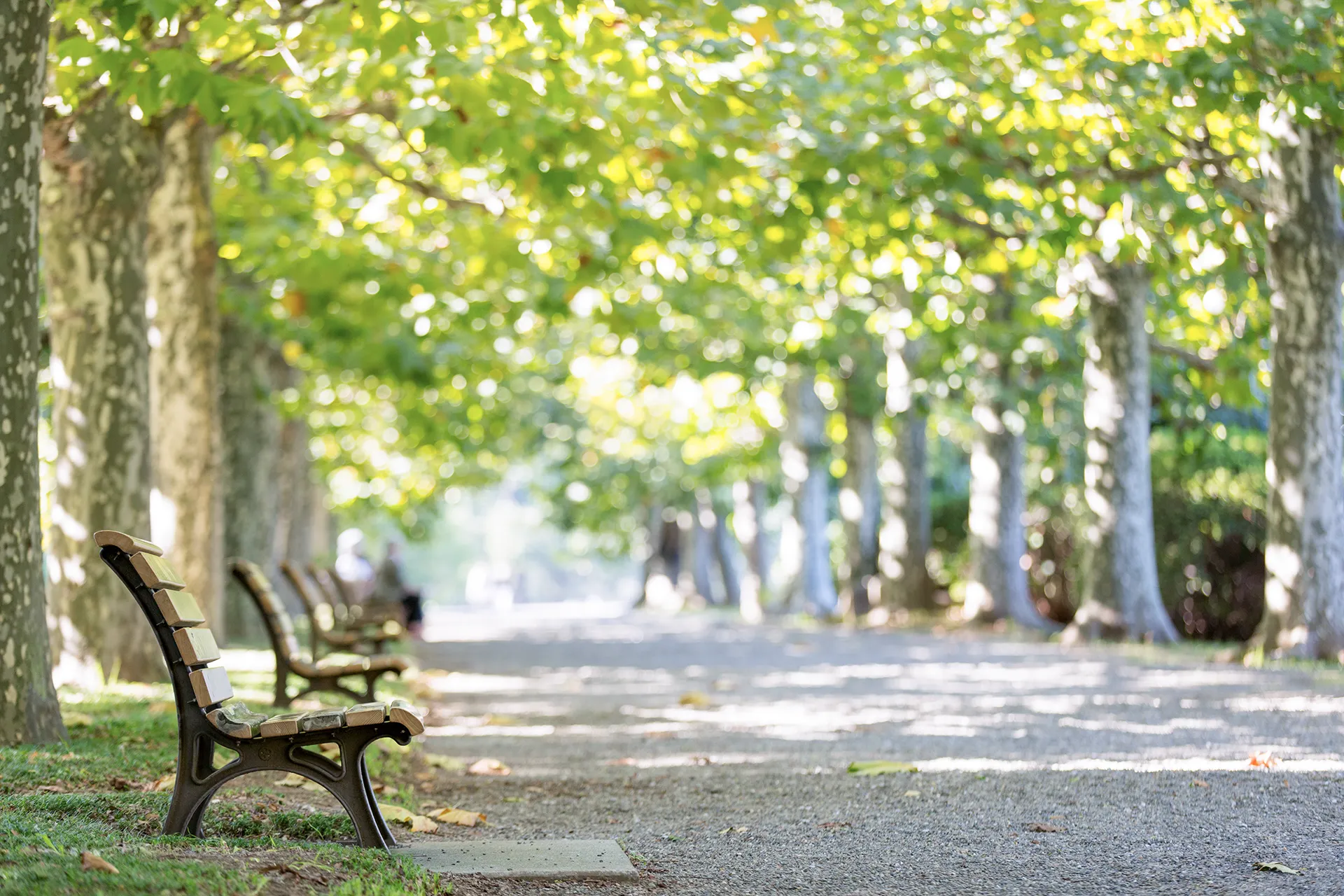 parco a firenze